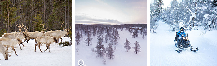 © Canva Quartier Libre