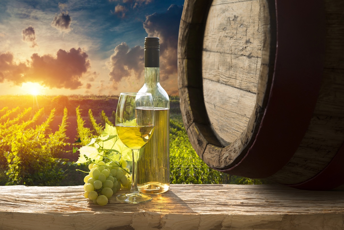 La première édition de "Vignobles en Scène", nouveau rendez-vous annuel de l’œnotourisme, se tiendra les 17, 18 et 19 octobre 2025 - Depositphotos.com, @kishivan