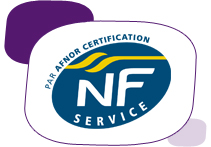 CE, voyages scolaires, jeunes, seniors... les voyages linguistiques ont la cote CE, voyages scolaires, jeunes, seniors... les voyages linguistiques ont la cote