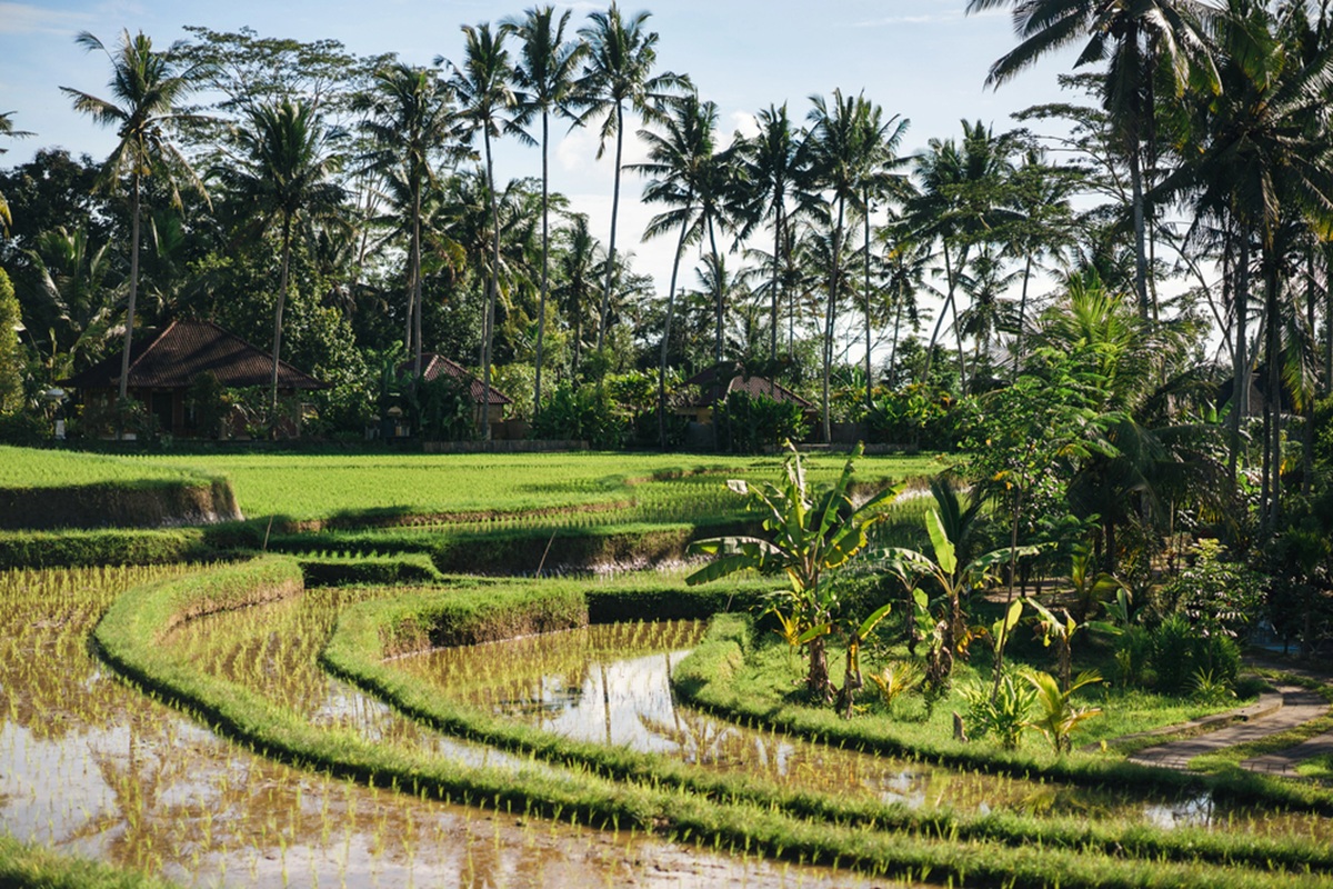 Alors que les épisodes d’inondations se multiplient au Cambodge l’urbanisation encouragée par le développement du tourisme est pointé du doigt. @depositphotos/YuliyaKirayonakBO