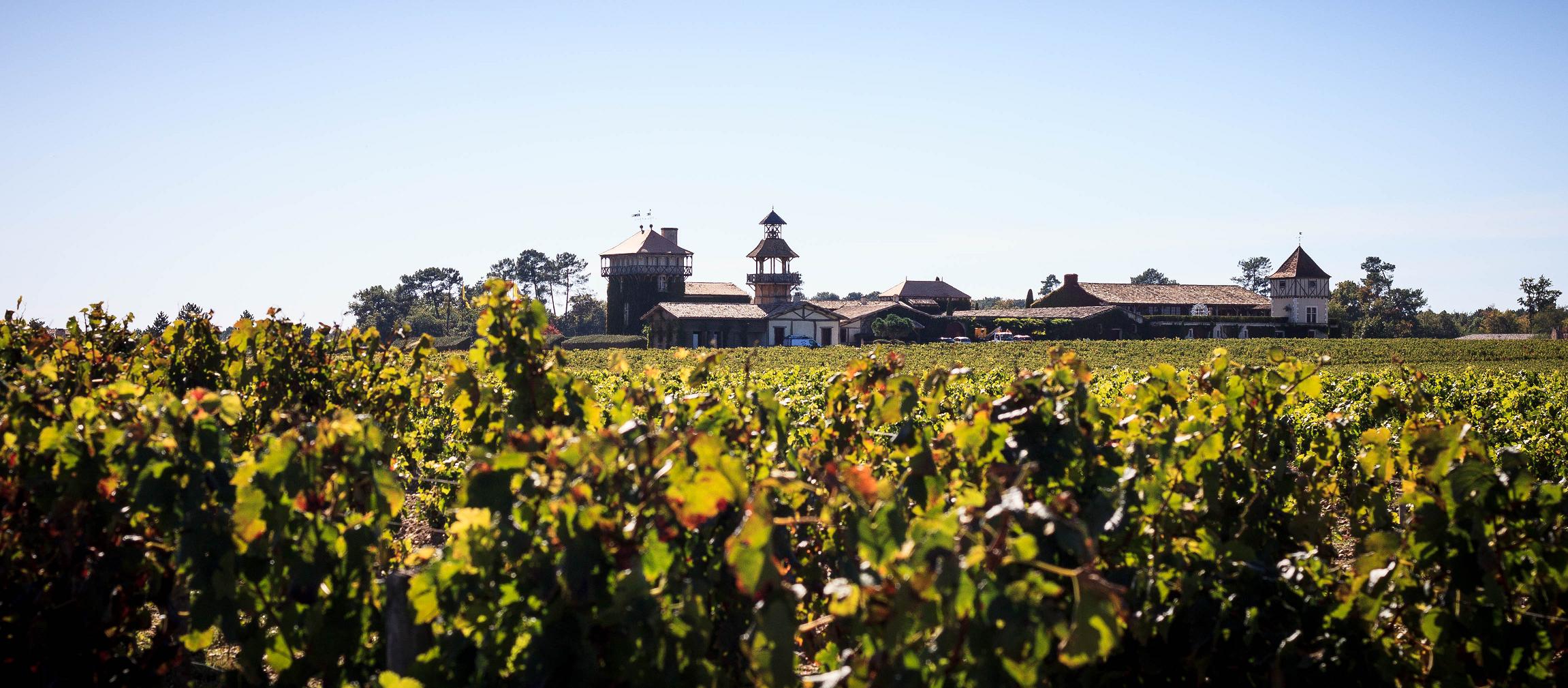 Château Smith Haut Lafitte. Photo D. Remazeilles - Gironde Tourisme.