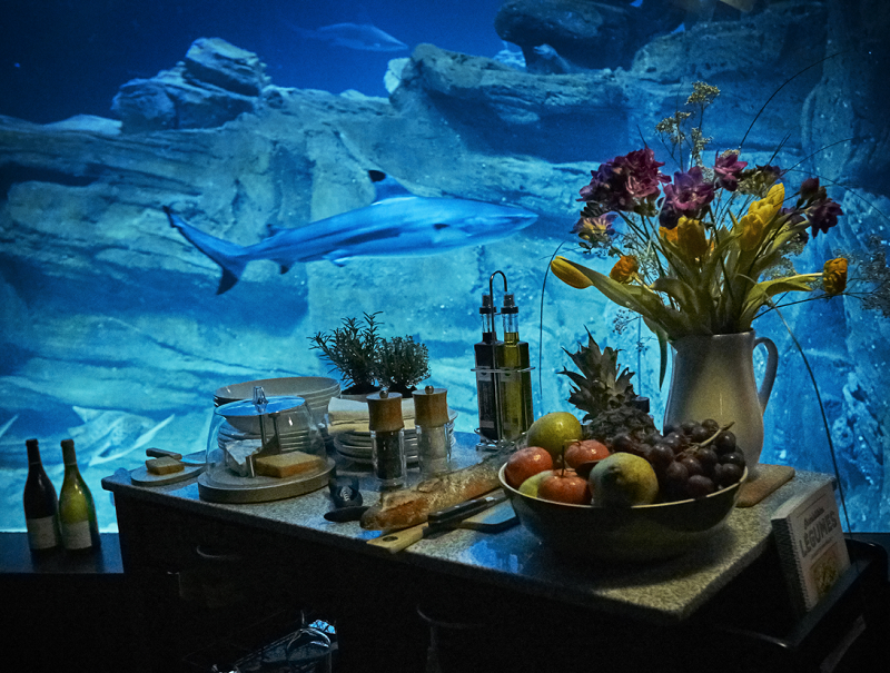 Airbnb : l'Aquarium de Paris loue une chambre immergée dans le bassin des requins
