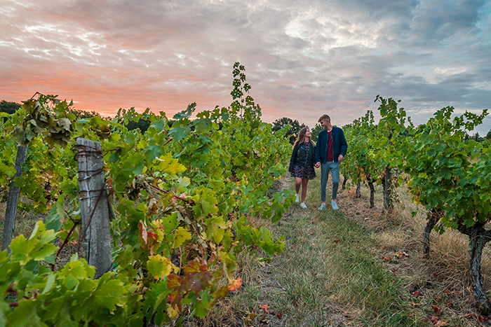 Les vins de Fronton © HapTag