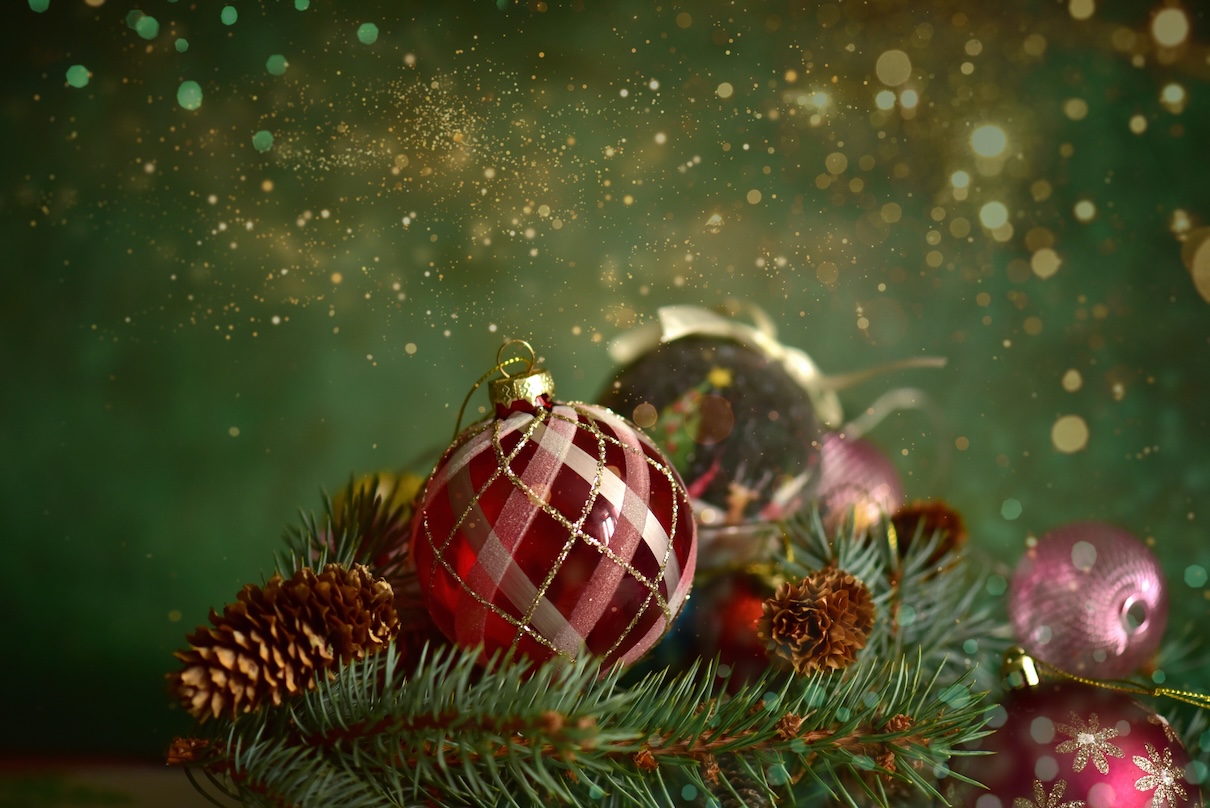 Noël s’invite dans les parcs d'attractions, découvrez le programme ! - Depositphotos.com, bonsaitree