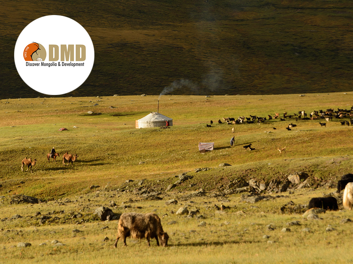 DMD Mongolie rejoint l'annuaire des DMC, DestiMaG - © Narangua Demedbal - DMD Mongolie