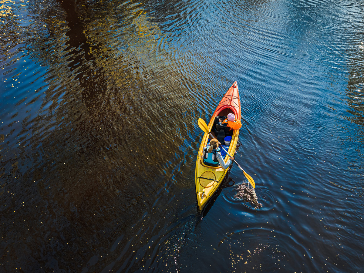 © wirestoc / Freepik