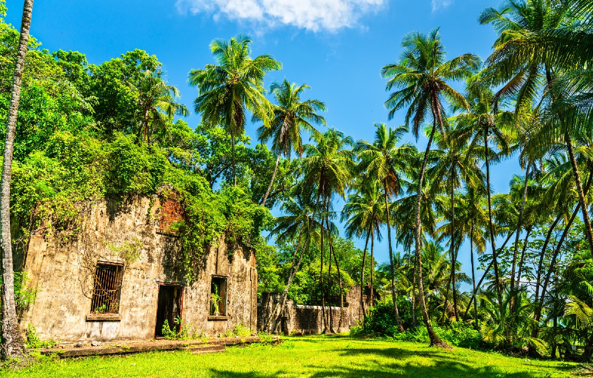 Accessible aux visiteurs après une agréable traversée en catamaran, l’archipel des  îles du Salut a retrouvé aujourd’hui un visage de carte postale - Depositphotos.com Auteur Leonid_Andronov