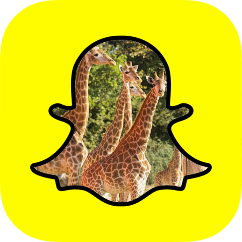 Le parc Planète Sauvage se met à Snapchat Le parc Planète Sauvage se met à Snapchat
