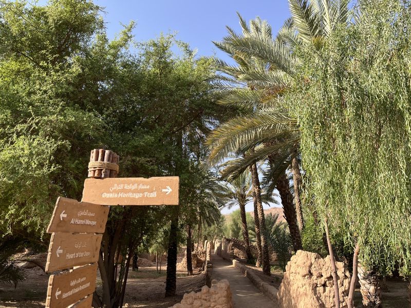 Un sentier balisé permet de découvrir les plus beaux coins de la palmeraie où sont menées xes campagne de replantation d'arbres. Photo : PB