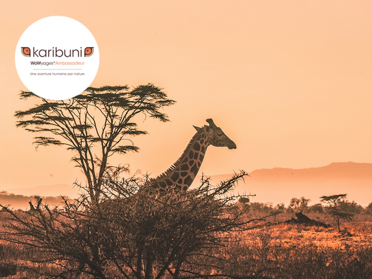 Karibuni rejoint l’annuaire des DMC, DestiMaG - © harshil gudka - Unsplash