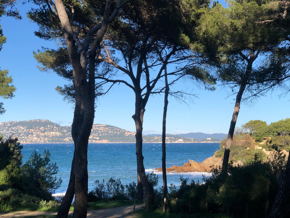 Le littoral va-t-il survivre aux désordres climatiques ? - Photo JS