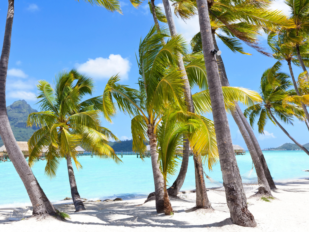 Île Maurice : immersion exclusive dans les établissements Marriott avec Kuoni