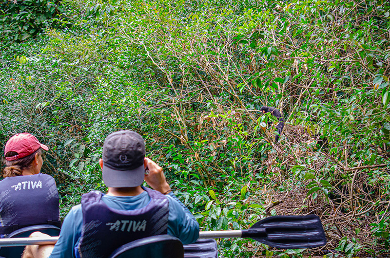 Cristalino Lodge © Cynthia Lebrão