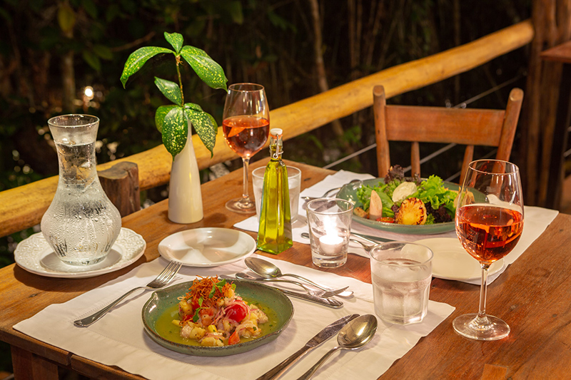 © Anavilhanas Jungle Lodge