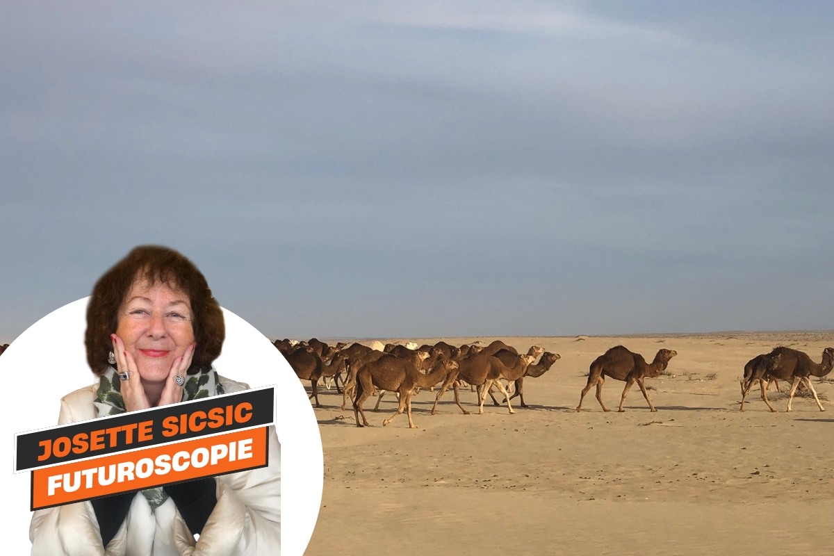 Le désert réunit aujourd’hui toutes les valeurs chères à une société exaspérée par le progrès technologique, le chaos économique et surtout une géopolitique imprévisible - Photo : J.S.