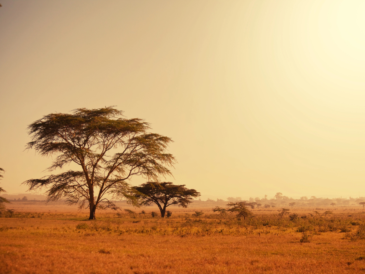 Le nouveau challenge de Salaün Holidays permettra aux agents de voyages de remporter l'une des dix places disponibles pour un voyage d’étude en Afrique du Sud - DepositPhotos.com, kamchatka