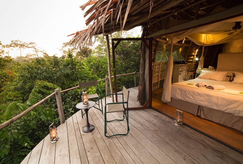 Les bungalows du Ngaga&nbsp;Lodge sont implantés au coeur de la forêt tropicale - Photo : Kamba Africa
