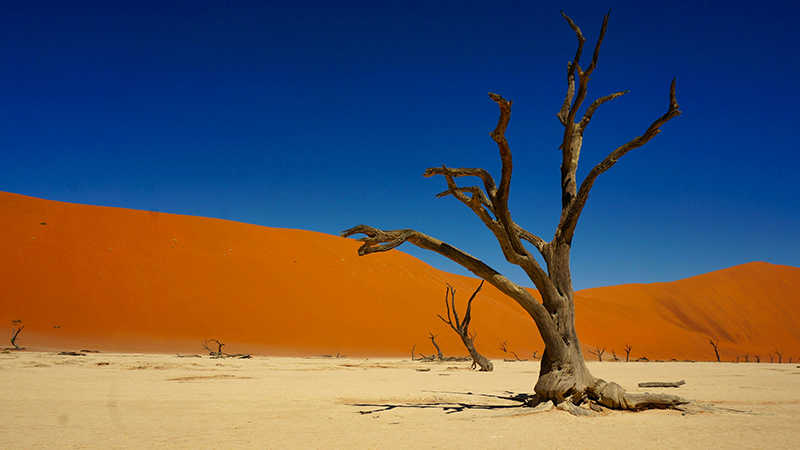 Désert du Namib © Unsplash - Sean Robertson