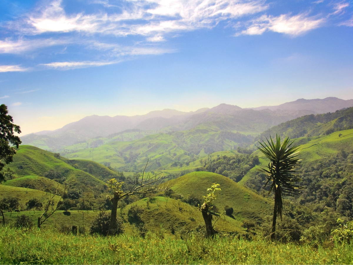 le Costa Rica lance sa nouvelle campagne institutionnelle européenne -    Depositphotos.com/bryndin