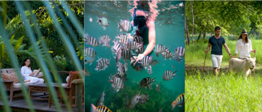 327 836 touristes ont foulé le sol mauricien durant les trois premiers mois de 2016 - DR 327 836 touristes ont foulé le sol mauricien durant les trois premiers mois de 2016 - DR