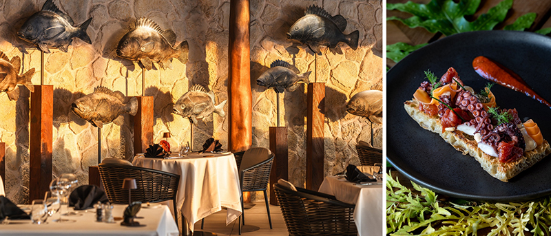 © David Yawalkar / ©Stéphane Mailion