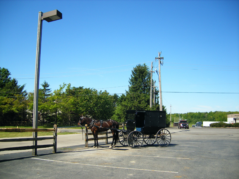 Un Amish fait ses courses, sa carriole au parking