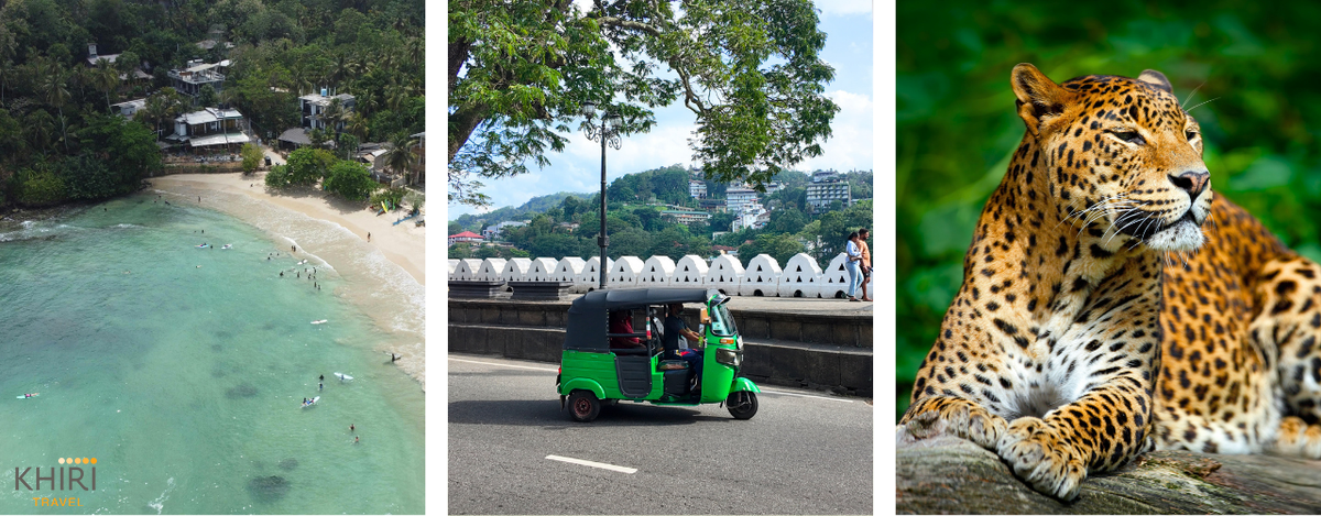 © Canva Khiri Travel / Hiriketiya Beach / © khiri Travel / Kandy City / Leopard, Yala National Park