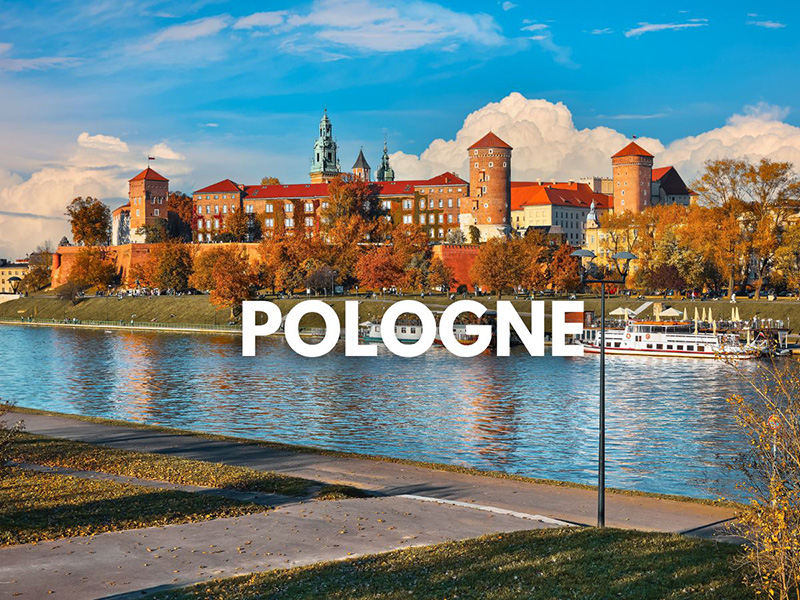 © Canva Quartier Libre