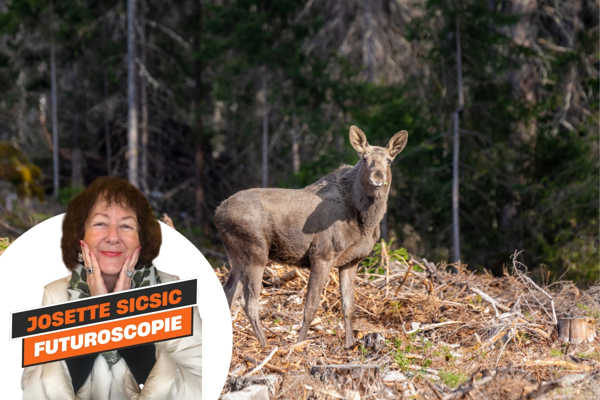 Depositphotos.com binnerstam@telia.com