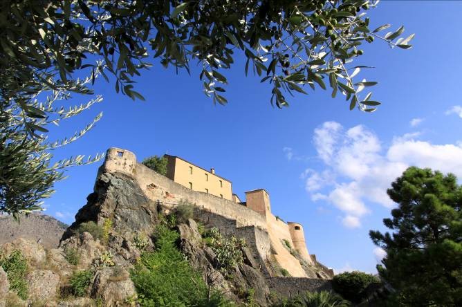 © Sylvain Alessandri