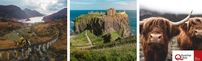 © Quartier Libre by Canva