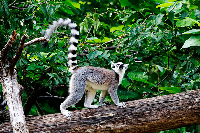 © Unsplash - Amy Reed