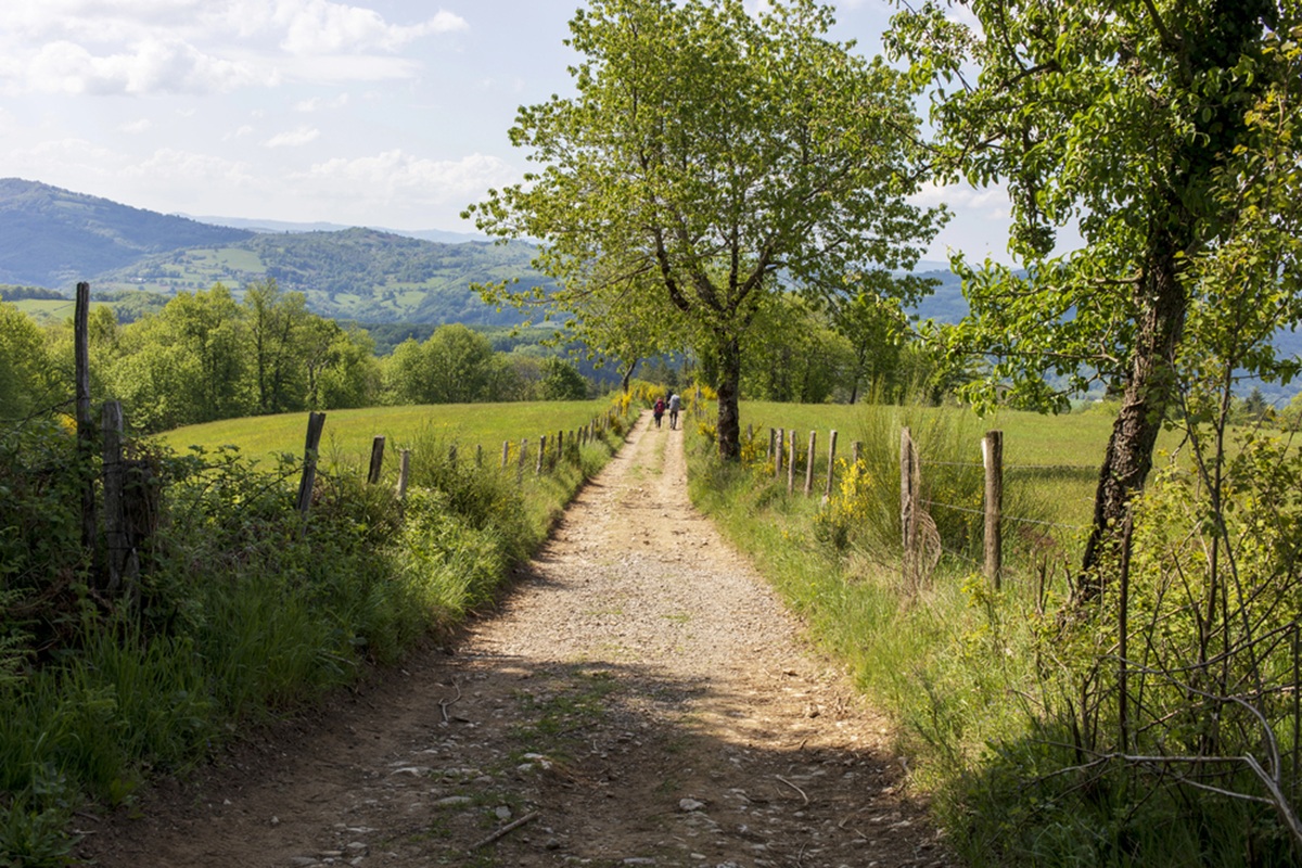 En 2025, plus de 530 000 marcheurs ont atteint Saint-Jacques-de-Compostelle, un record en hausse de 6,2 %. @depositphotos/delkoo