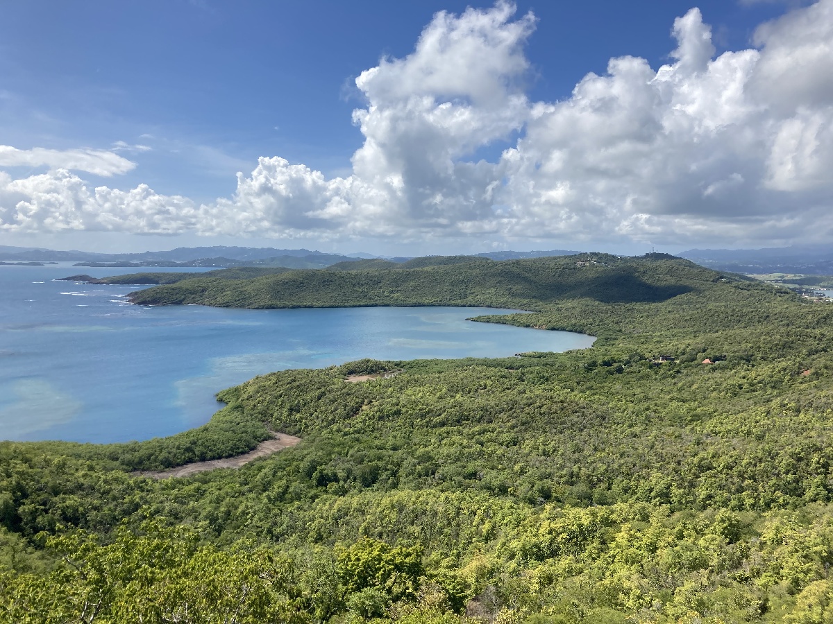La presqu’île sauvage et sèche de la Caravelle n’est pas conforme aux paysages habituellement observés en Martinique. Photo JFR