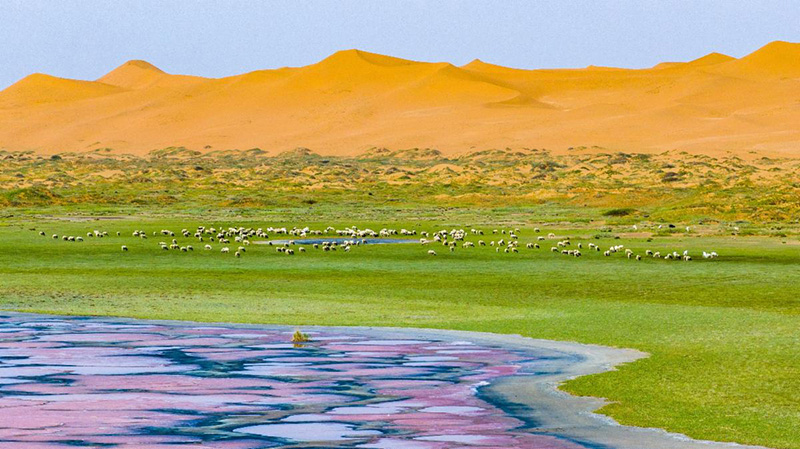 Minqin, Chine © DTH Travel