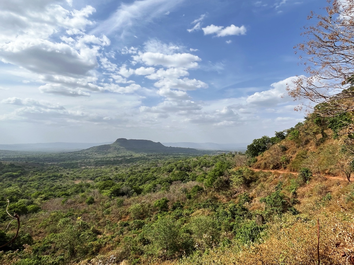 Le massif du Fouta Djalon, haut-plateau et savane forestière - Photo PB
