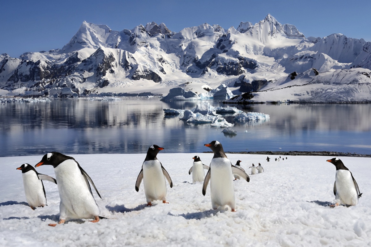 Le boom du tourisme en Antarctique accélère la fonte des glaces en Antarctique. @depositphotos/Steve_Allen