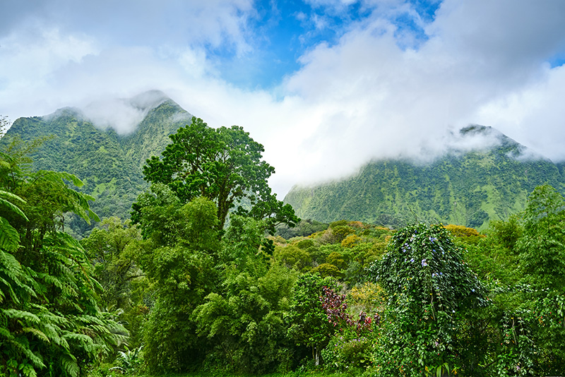 Les Pitons, inscrits au patrimoine mondial © CMT R.Haughton