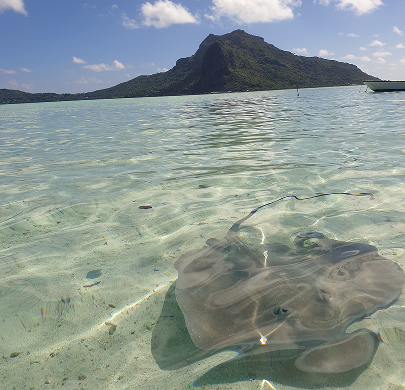 Lagon de Maupiti © Magalie PINEAU
