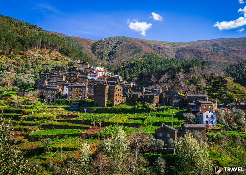 © Shutterstock