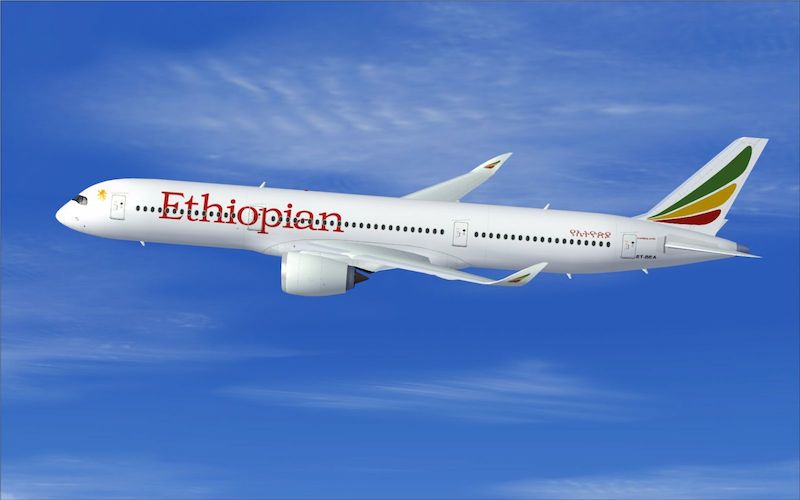 Ethiopian Airlines connait une croissance à deux chiffres sur le marché français. DR Ethiopian Airlines.