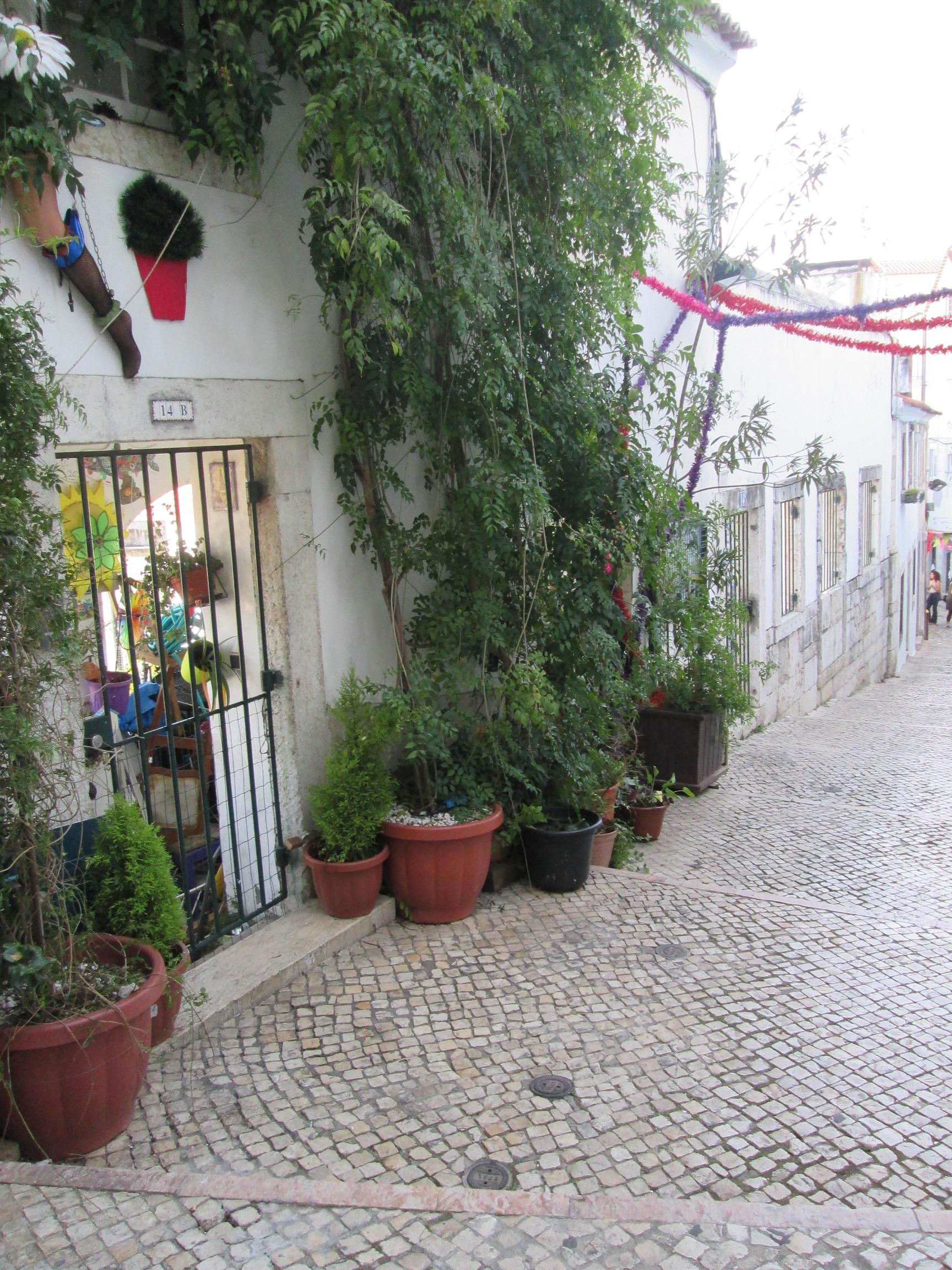 Se laisser perdre dans les ruelles pentues de Alfama le plus ancien et l’ un des plus typiques quartiers de Lisbonne et se laisser séduire par la créativité de ses habitants… Photo Ms.