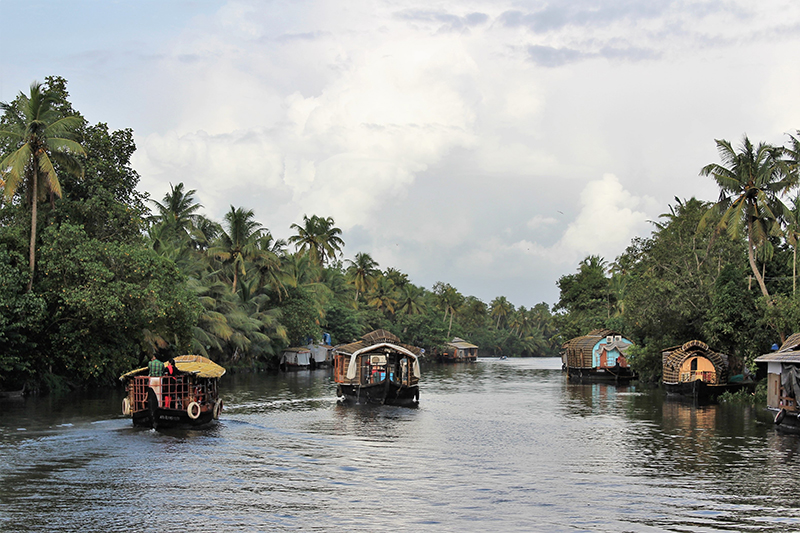 Kerala © Pixbay - philabraham2000