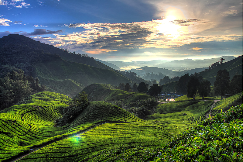 @ Canva by Coleong from Getty Images