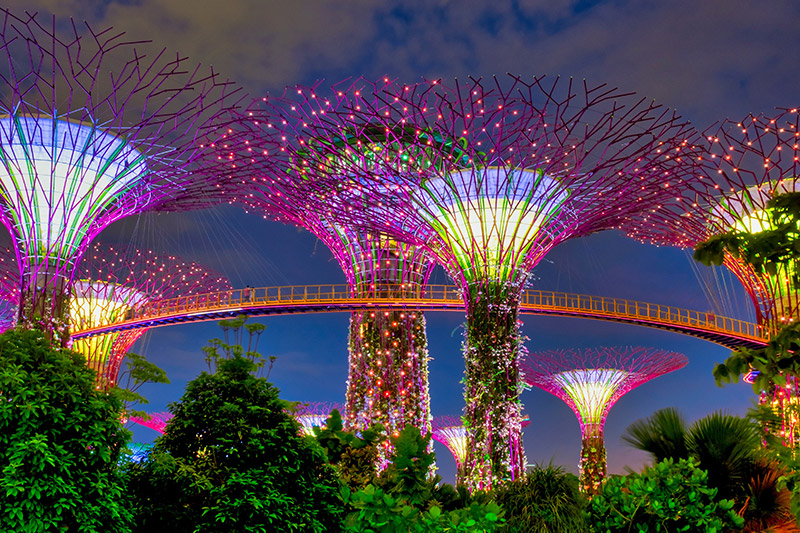 Gardens by the Bay, Singapour © DTH Travel