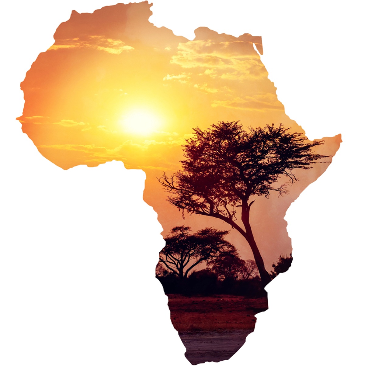 Les professionnels du tourisme africains souhaitent renforcer les déplacements intra-africains et plaident pour ne simplification des visas et des tarifs plus accessibles. @depositphotos/artush
