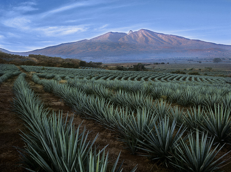 © Ministère du Tourisme de Jalisco