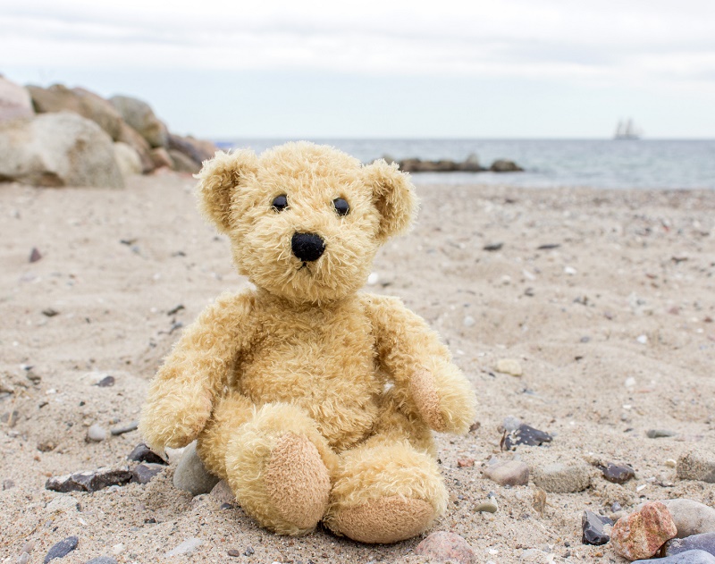 Je me suis assis à une terrasse. Et j’ai regardé un petit ours en peluche posé de l’autre côté, contre le tronc d’un palmier. Dans mes yeux il a fini par s’animer ce petit ours. La vie est-elle plus forte que tout ? Probablement - © Cora Müller - Fotolia.com