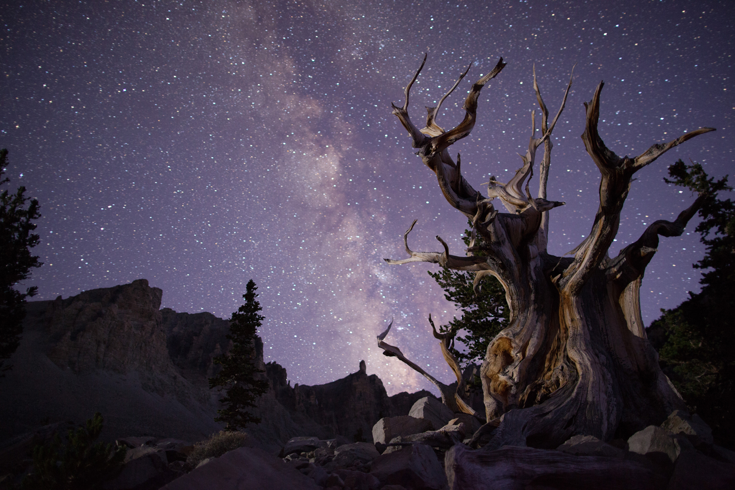 Le Nevada, un État à part dans le paysage américain