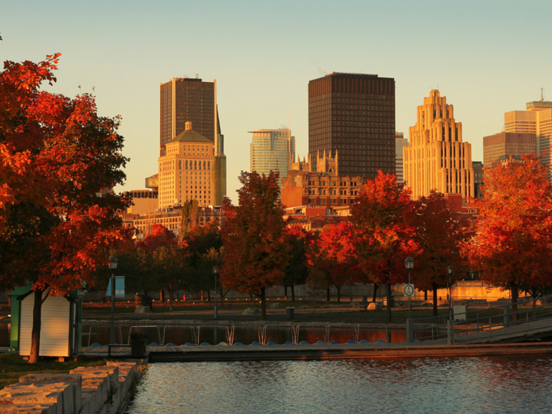 Montreal © fotolia : pink candy